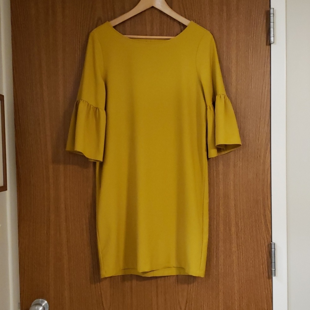 Long blouse or dress